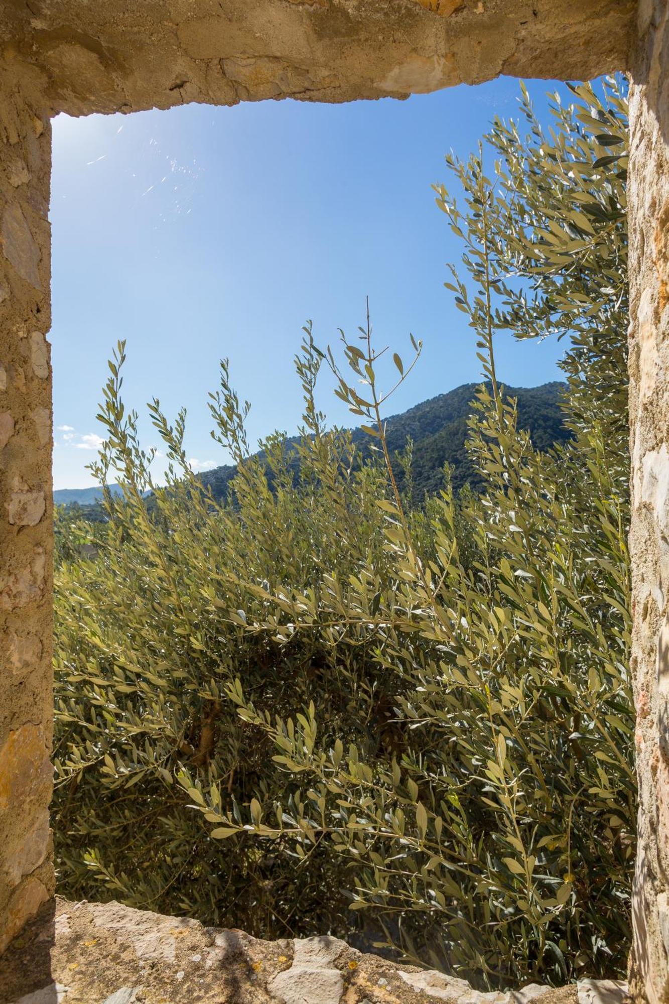Finca Es Castell Xóm Xóm Binibona Ngoại thất bức ảnh